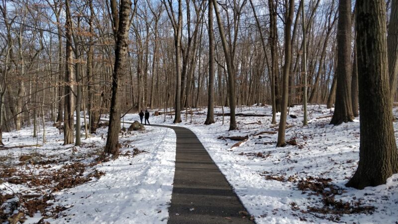Central Park - Whippany, NJ
