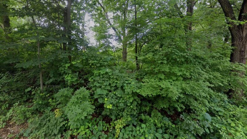 Bloomquist Park - White Bear Lake, MN