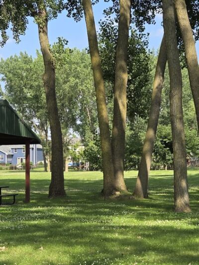 Fox Meadow Park - White Bear Lake, MN