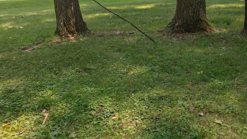 Fox Meadow Park - White Bear Lake, MN