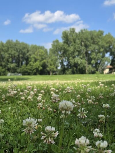 Fox Meadow Park - White Bear Lake, MN