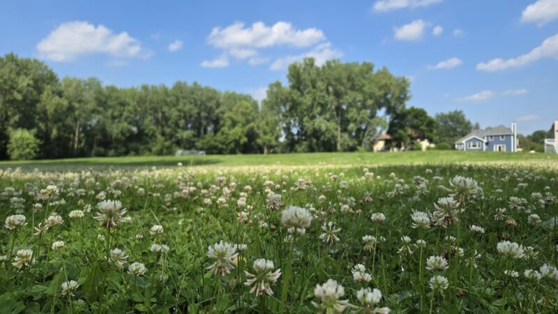 Fox Meadow Park - White Bear Lake, MN