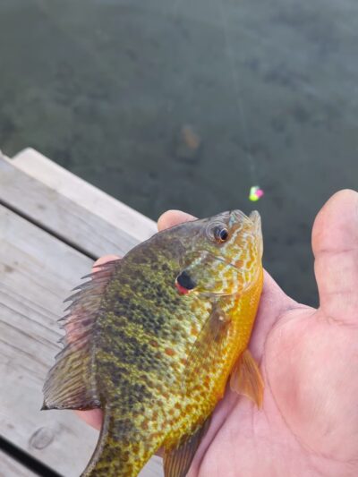 Matoska Park - White Bear Lake, MN