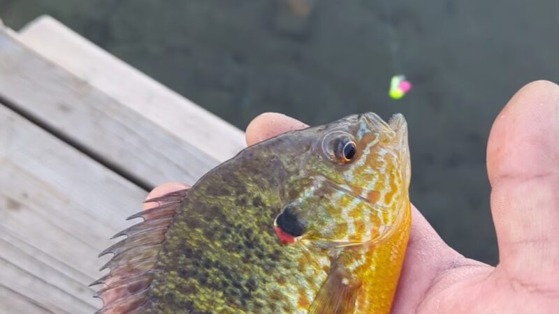 Matoska Park - White Bear Lake, MN
