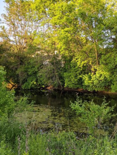 Varney Lake Park - White Bear Lake, MN