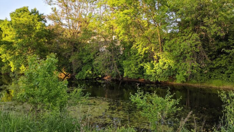 Varney Lake Park - White Bear Lake, MN