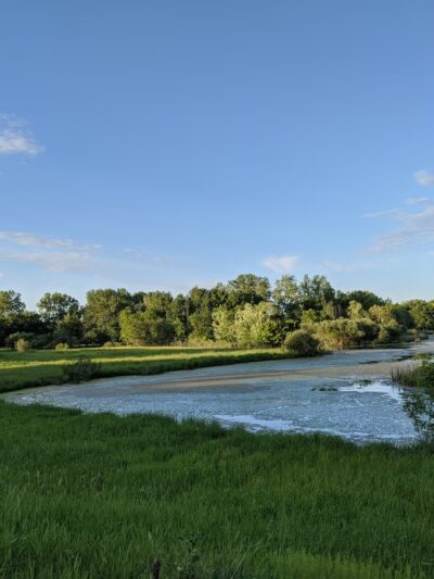 Varney Lake Park - White Bear Lake, MN