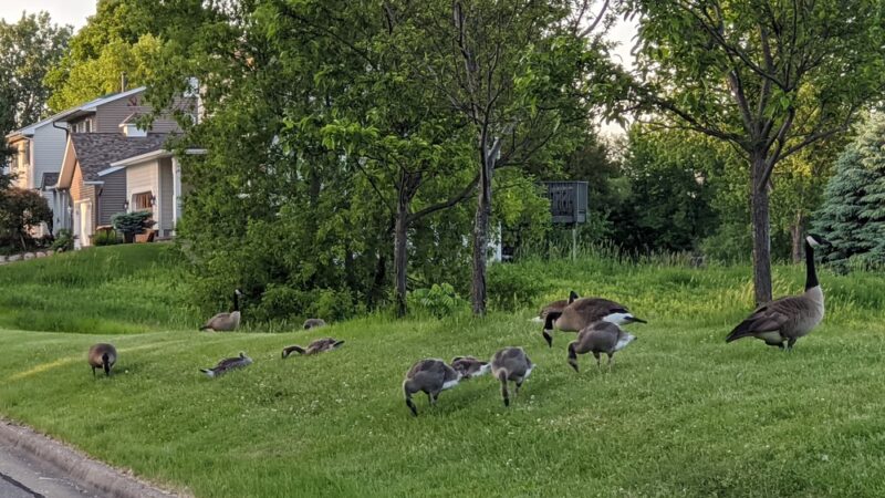 Varney Lake Park - White Bear Lake, MN