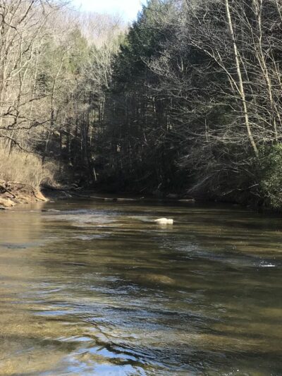 Rocks State Park - Hidden Valley Area - White Hall, MD