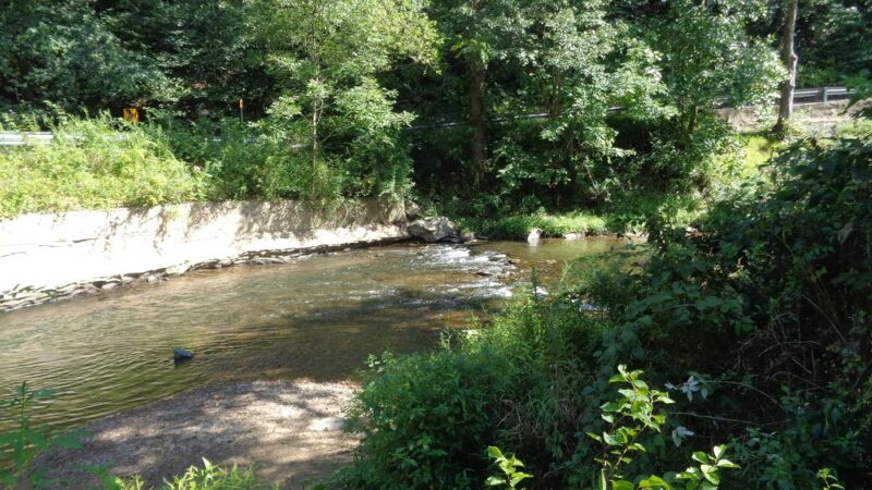 Rocks State Park - Hidden Valley Area - White Hall, MD