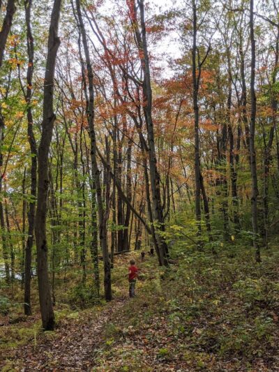 D&L Trail White Haven North Trailhead - White Haven, PA
