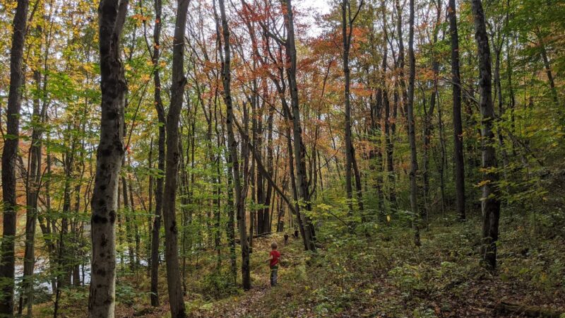 D&L Trail White Haven North Trailhead - White Haven, PA