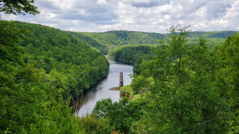 Fireline Trail (Hickory Run) - White Haven, PA