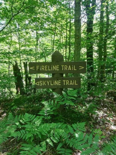 Fireline Trail (Hickory Run) - White Haven, PA