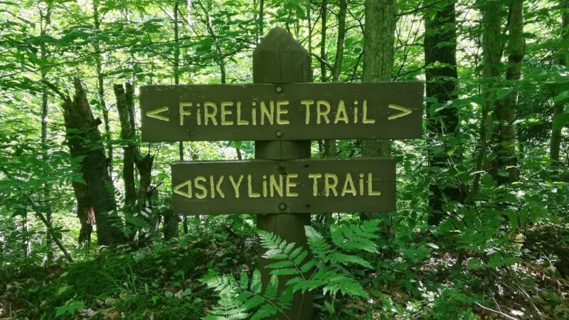Fireline Trail (Hickory Run) - White Haven, PA