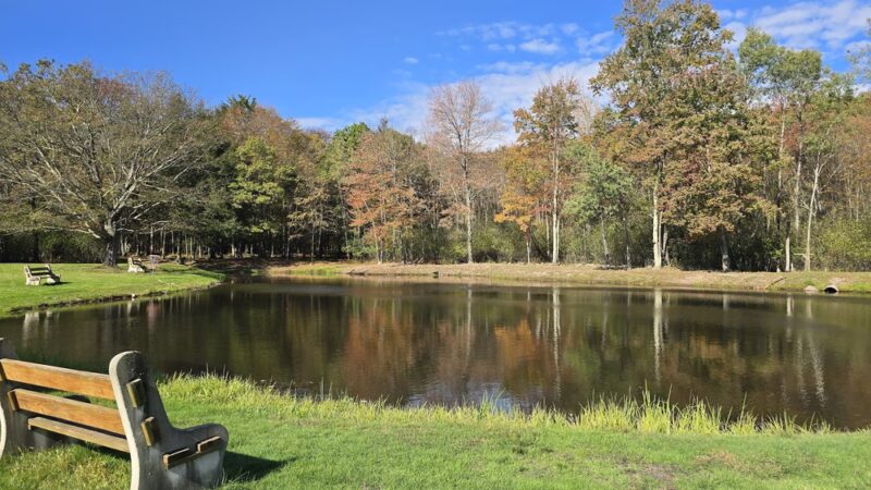 Linesville Park - White Haven, PA