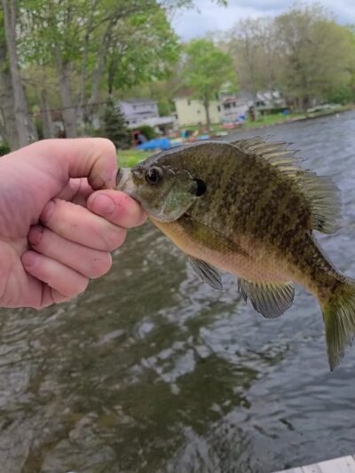 Penn Lake Park Borough - White Haven, PA