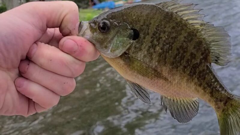 Penn Lake Park Borough - White Haven, PA