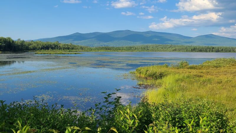 Presidential Range Rail Trail Parking - Whitefield, NH