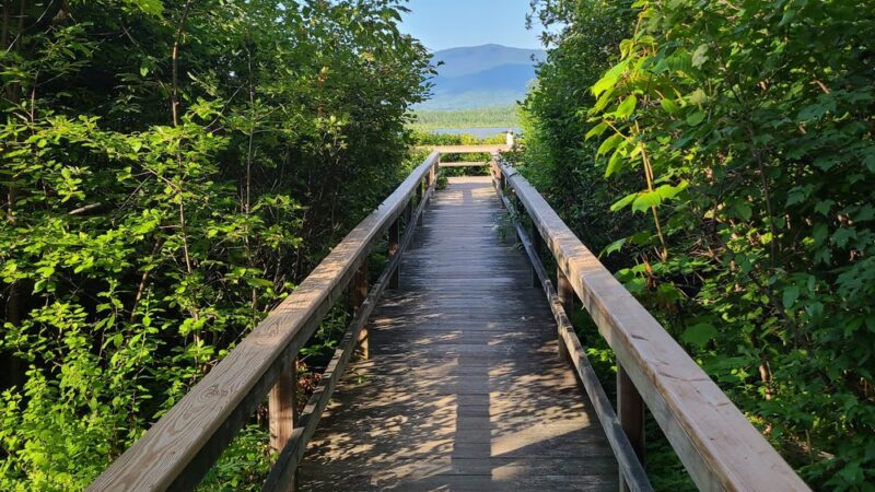 Presidential Range Rail Trail Parking - Whitefield, NH