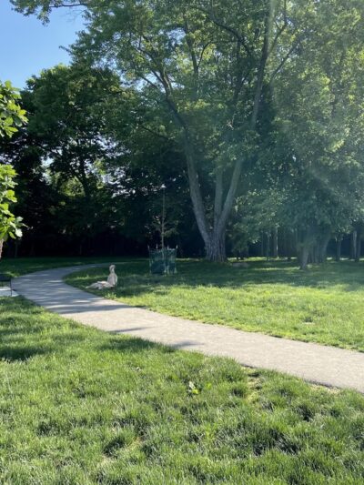 Central Bark Dog Park - Whitehall, OH