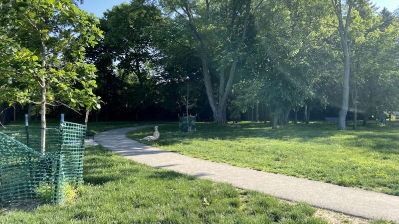 Central Bark Dog Park - Whitehall, OH