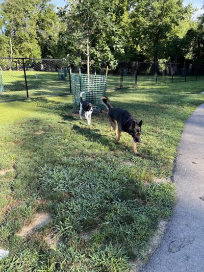 Central Bark Dog Park - Whitehall, OH