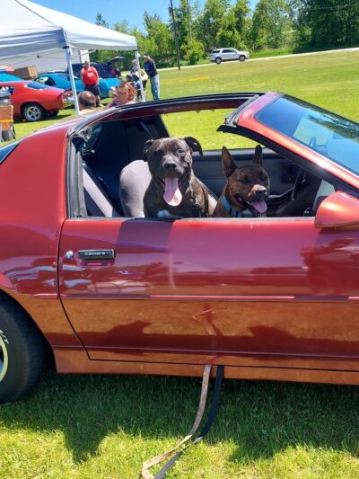 Whitelaw Community Park - Whitelaw, WI