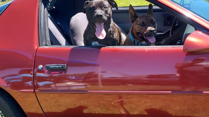 Whitelaw Community Park - Whitelaw, WI