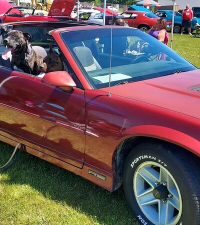 Whitelaw Community Park - Whitelaw, WI