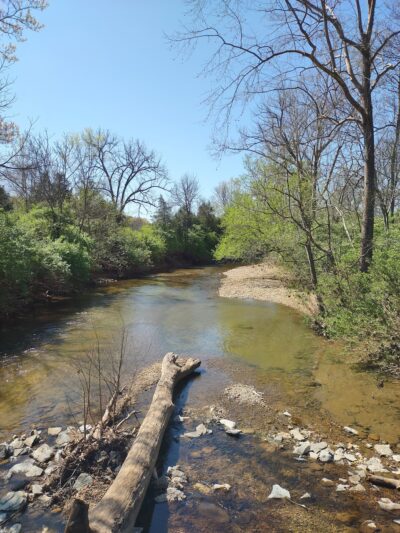 The Trails at Fontanel - Whites Creek, TN