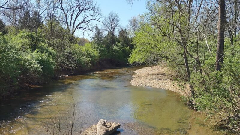 The Trails at Fontanel - Whites Creek, TN
