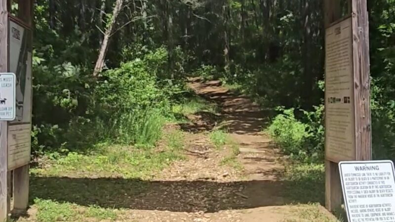 The Trails at Fontanel - Whites Creek, TN