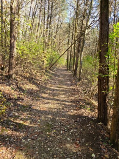 The Trails at Fontanel - Whites Creek, TN