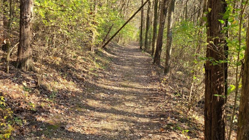 The Trails at Fontanel - Whites Creek, TN