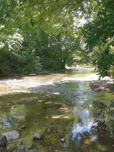 The Trails at Fontanel - Whites Creek, TN