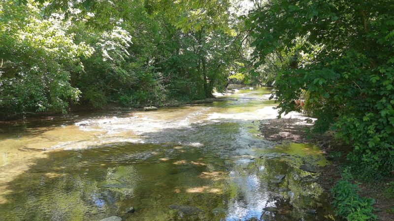 The Trails at Fontanel - Whites Creek, TN