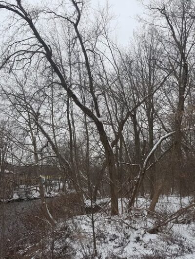 Dunham Manor Park - Whitesboro, NY