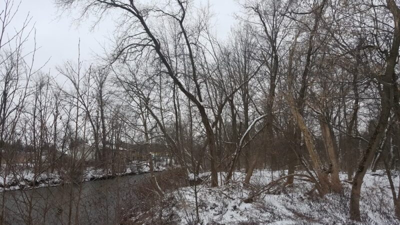 Dunham Manor Park - Whitesboro, NY