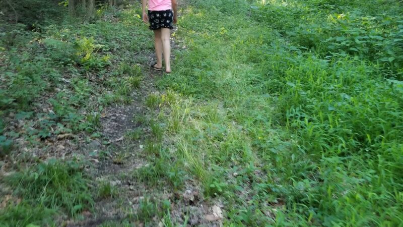 Dunham Manor Park - Whitesboro, NY