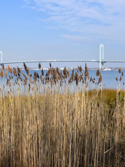 Powell's Cove Park - Whitestone, NY