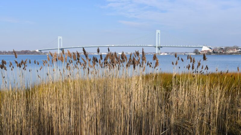 Powell's Cove Park - Whitestone, NY