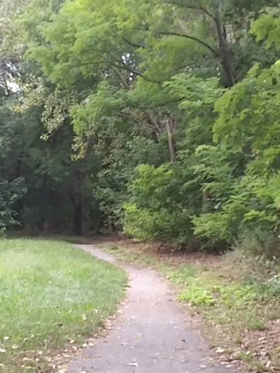 Powell's Cove Park - Whitestone, NY