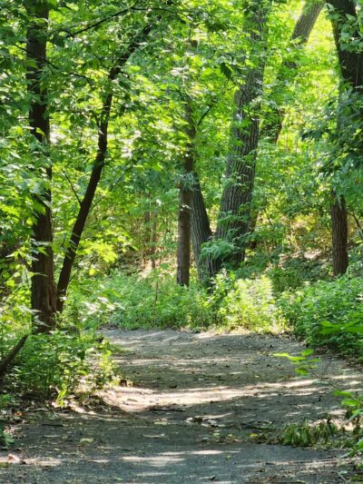 Powell's Cove Park - Whitestone, NY