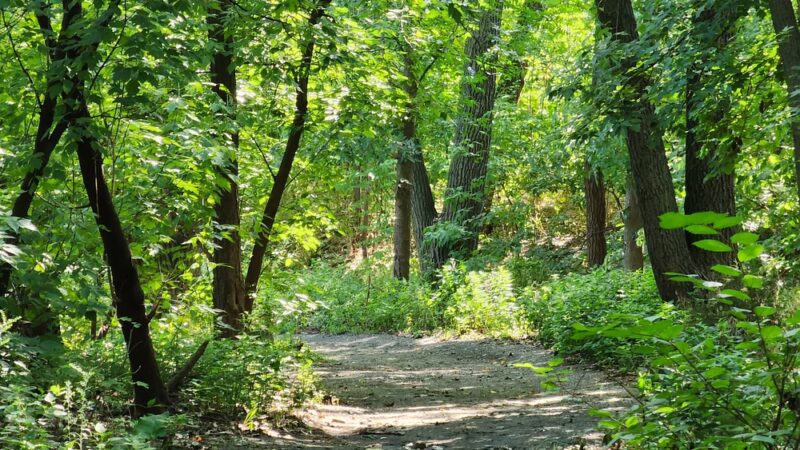 Powell's Cove Park - Whitestone, NY