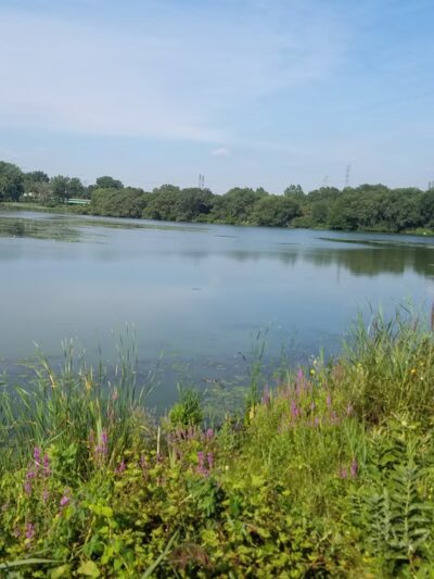Forsythe Park - Whiting, IN