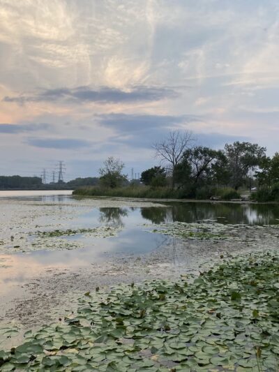 Forsythe Park - Whiting, IN