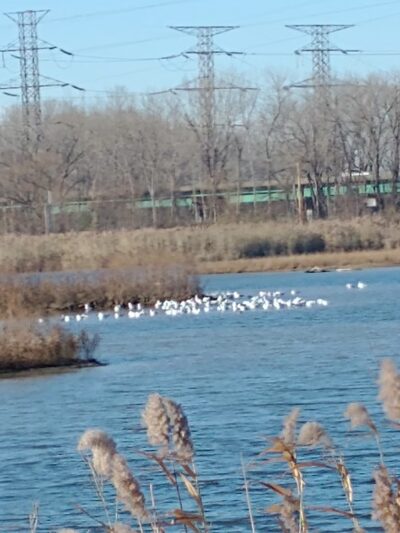 Forsythe Park - Whiting, IN