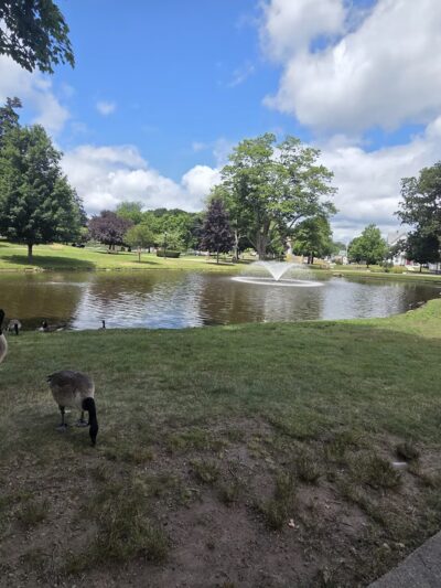 Whitman Park - Whitman, MA