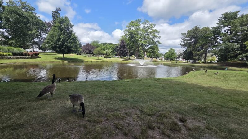 Whitman Park - Whitman, MA